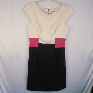 Sandra Darren Elegant Womens Color Block Pink, Black, Cream Dress Size 6
